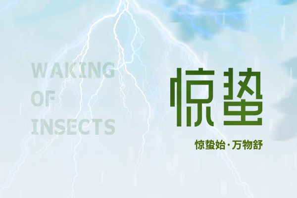 時至驚蟄 | 春雷始鳴，萬物生機盎然